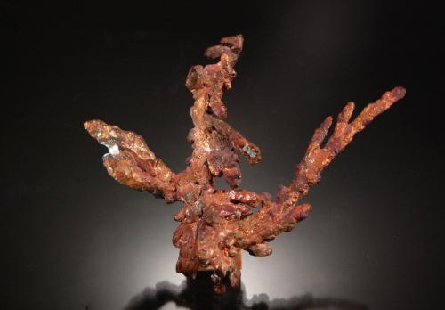 Copper<br />Calumet Township, Houghton County, Michigan, USA<br />6.0 x 4.8 x 1.1 cm<br /> (Author: Michael Shaw)