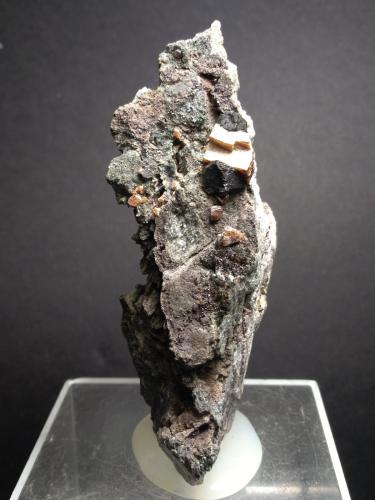 Perovskita, Magnetita<br />Malenco Valley (Valmalenco), Sondrio Province, Lombardy, Italy<br />96 x 50 mm<br /> (Autor: Sante Celiberti)