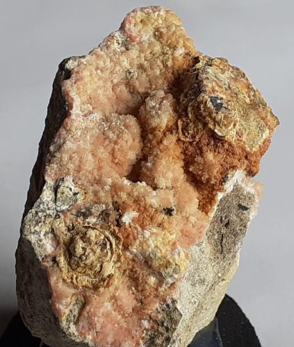 Natrolite<br />Mariánská Skála, Ústí nad Labem Region, Czech Republic<br />5 x 4 cm<br /> (Author: Volkmar Stingl)
