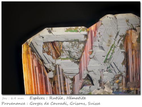 Hematite and Rutile<br />Cavradi, Curnera Valley, Tujetsch (Tavetsch), Vorderrhein Valley, Grischun (Grisons; Graubünden), Switzerland<br />fov 6.4 mm<br /> (Author: ploum)