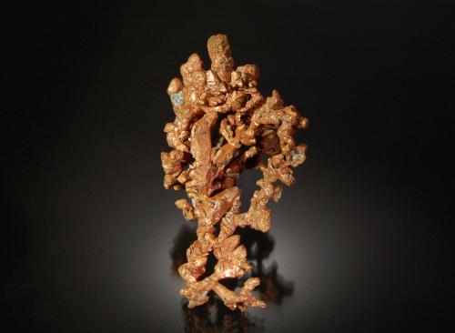 Copper<br />Rocklands Mine, Cloncurry, Cloncurry Shire, Queensland, Australia<br />6.1 x 3.5 cm<br /> (Author: Michael Shaw)