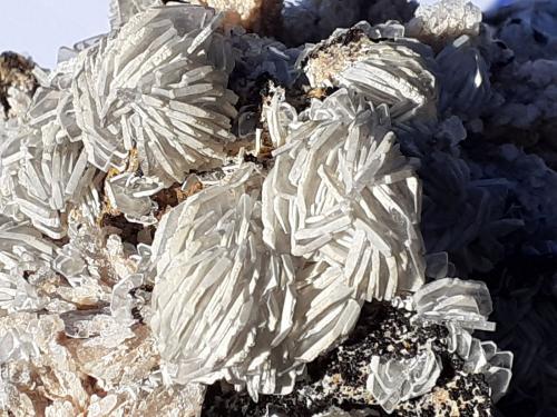 Baryte<br />Oberzeiring, Pöls Valley, Niedere Tauern, Styria/Steiermark, Austria<br />11 x 9 cm<br /> (Author: Volkmar Stingl)