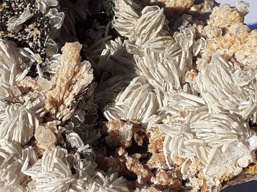 Baryte<br />Oberzeiring, Pöls Valley, Niedere Tauern, Styria/Steiermark, Austria<br />11 x 9 cm<br /> (Author: Volkmar Stingl)