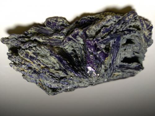 Covellite, Pyrite<br />Mina Calabona, Alghero, Provincia Sassari, Cerdeña/Sardegna, Italia<br />71 x 54 mm<br /> (Author: Sante Celiberti)