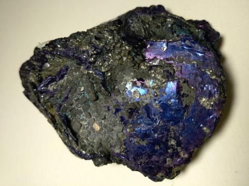Covellite, Pyrite<br />Calabona Mine, Alghero, Sassari Province, Sardinia/Sardegna, Italy<br />71 x 54 mm<br /> (Author: Sante Celiberti)