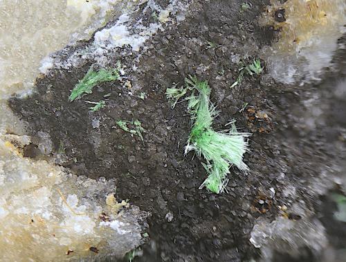 Agardita-(Y).<br />Mina José Domingo, Els Estrets, L'Argentera, Comarca Baix Camp, Tarragona, Cataluña / Catalunya, España<br />Campo de visión 4 mm.<br /> (Autor: Antonio Carmona)