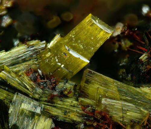 Nealite<br />Mazarrón, Comarca Alto Guadalentín, Region of Murcia (Murcia), Spain<br />FOV 4.8 mm.<br /> (Author: Rewitzer Christian)