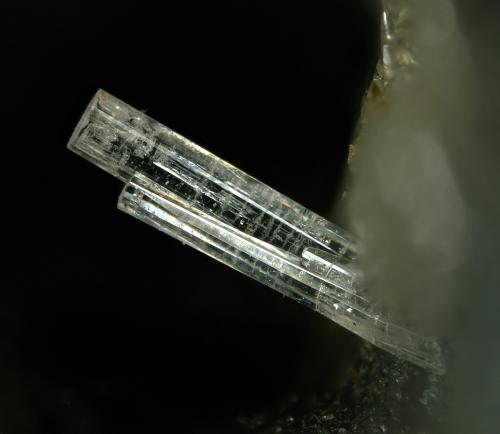 Penfieldite<br />Mazarrón, Comarca Alto Guadalentín, Region of Murcia (Murcia), Spain<br />FOV 1.6 mm.<br /> (Author: Rewitzer Christian)