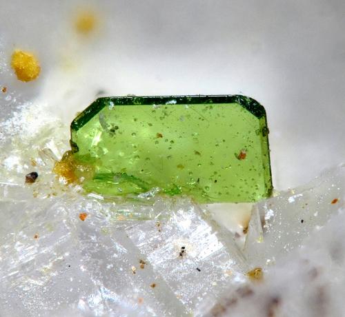 Torbernite<br />Mina La Paloma, Zarza la Mayor, Mancomunidad Rivera de Fresnedosa, Cáceres, Extremadura, España<br />FOV 0.7 mm.<br /> (Author: Rewitzer Christian)