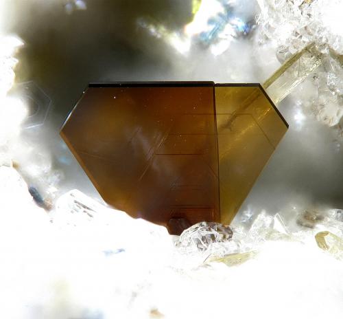 Fluorophlogopite<br />Canteras de La Aljorra, Cerro de la Cabezuela (Volcán de la Aljorra), La Aljorra, Cartagena, Comarca Campo de Cartagena, Región de Murcia (Murcia), España<br />FOV 0.8 mm.<br /> (Author: Rewitzer Christian)