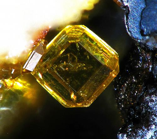 Cyrilovite<br />La Paloma Mine, Zarza la Mayor, Mancomunidad Rivera de Fresnedosa, Cáceres, Extremadura, Spain<br />FOV 0.6 mm.<br /> (Author: Rewitzer Christian)