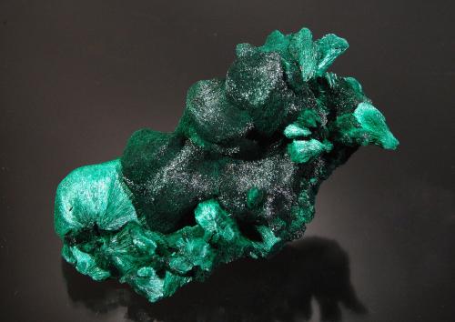 Malachite<br />Mina Mindingi (Mina Mindigi), Swambo, Distrito Kambove, Cinturón de cobre de Katanga, Katanga (Shaba), República Democrática del Congo (Zaire)<br />8.0 x 4.0 x 3.0 cm<br /> (Author: Michael Shaw)
