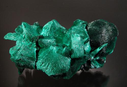 Malachite<br />Mina Mindingi (Mina Mindigi), Swambo, Distrito Kambove, Cinturón de cobre de Katanga, Katanga (Shaba), República Democrática del Congo (Zaire)<br />8.0 x 4.0 x 3.0 cm<br /> (Author: Michael Shaw)