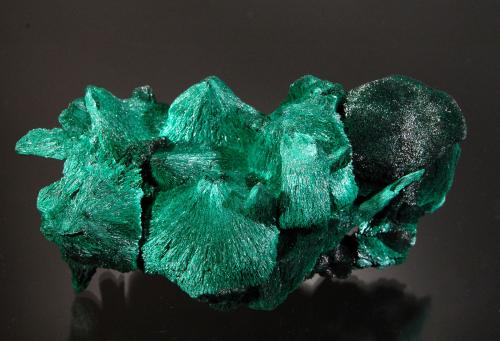 Malachite<br />Mindingi Mine (Mindigi Mine), Swambo, Kambove District, Katanga Copper Crescent, Katanga (Shaba), Democratic Republic of the Congo (Zaire)<br />8.0 x 4.0 x 3.0 cm<br /> (Author: Michael Shaw)