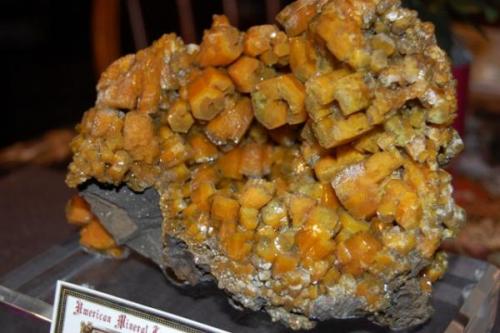 Pyromorphite
Ex Bruce and Cody Oreck. (Author: Gail)