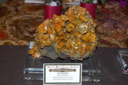 This piece was in the American Treasures case of Pyromorphites from the Kellogg mine in Idaho. (Author: Gail)