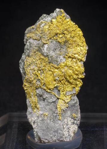 Gold<br />Los Delirios claim, Delirios III cut, Municipio Vetas, Soto Province, Santander Department, Colombia<br />Specimen height 4 cm<br /> (Author: Tobi)