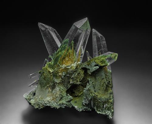 Quartz with chlorite inclusions, Rutile<br />Ganesh Himal, Dhading District, Bagmati Pradesh, Nepal<br />8.1 x 8.9 cm<br /> (Author: am mizunaka)