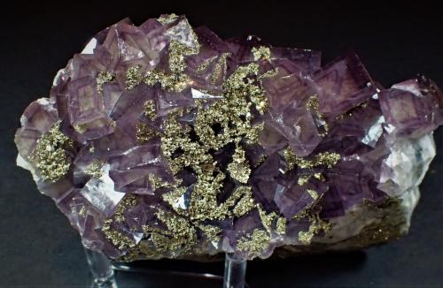 Fluorite, Pyrite<br />Yaogangxian Mine, Yizhang, Chenzhou Prefecture, Hunan Province, China<br />143 mm x 87 mm<br /> (Author: Don Lum)