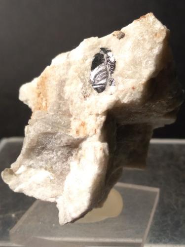 Columbita-(Fe)/Columbita-(Mn) (Serie)<br />Malpensata, Peninsula Piona, Colico, Provincia Lecco, Lombardía/Lombardia, Italia<br />44 x 35 mm<br /> (Autor: Sante Celiberti)