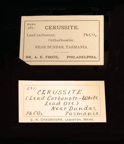 _Two of several labels that accompanied the specimen<br /><br /><br /> (Author: Michael Shaw)