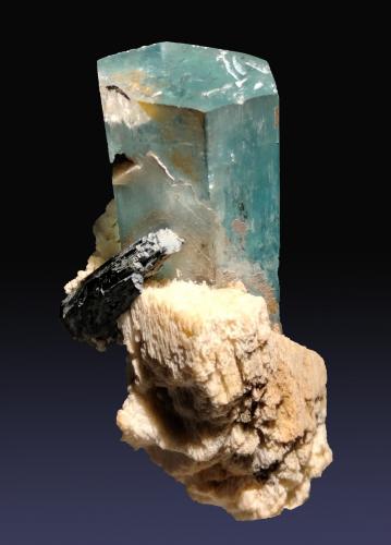 Berilo (variedad aguamarina) con Schorlo (Chorlo) y Ortoclasa<br />Bergsig Farm 167 (Hohenstein), Omaruru, Erongo Region, Namibia<br />27 mm x 44 mm x 22 mm<br /> (Autor: Firmo Espinar)