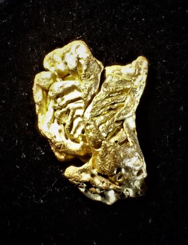 Gold<br />R.J. Roberts lode, Willow Creek District, Pershing County, Nevada, USA<br />20 mm x 12 mm<br /> (Author: Don Lum)