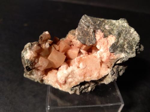 Chabazita<br />Toal de la Foia, Moena, Trento Province, Trentino-Alto Adige (Trentino-Südtirol), Italy<br />60 x 35 mm<br /> (Autor: Sante Celiberti)