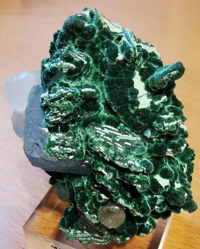 Malachite<br />Bleida Mine, Tinzouline, Zagora Province, Drâa-Tafilalet Region, Morocco<br />4,5 cm x 6 cm<br /> (Author: Enrique Llorens)