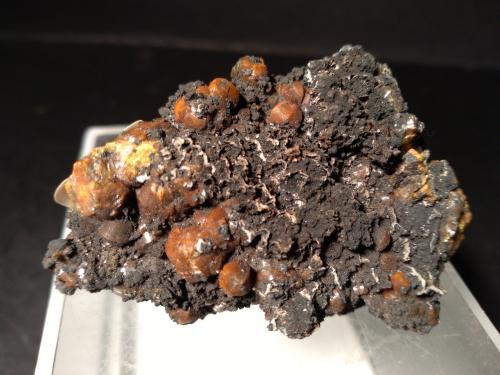 Mimetite (variety campylite), Romanèchite<br />Dry Gill Mine, Caldbeck Fells, Allerdale, former Cumberland, Cumbria, England / United Kingdom<br />56 x 38 mm<br /> (Author: Sante Celiberti)