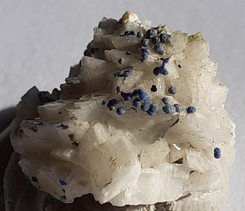 Azurite, Dolomite<br />Ringenwechsel Mining District, Troi, District Schwaz, Inn Valley, North Tyrol, Tyrol/Tirol, Austria<br />1,5 x 1,5 cm<br /> (Author: Volkmar Stingl)