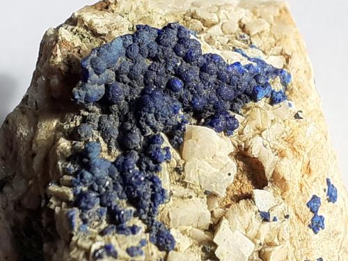 Azurite, Dolomite<br />Ringenwechsel Mining District, Troi, District Schwaz, Inn Valley, North Tyrol, Tyrol/Tirol, Austria<br />3 x 3 cm<br /> (Author: Volkmar Stingl)