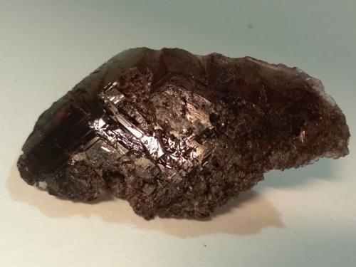 Axinite-Fe<br />Khapalu, Distrito Ghanche, Gilgit-Baltistan (Áreas del Norte), Paquistán<br />41 x 24 mm<br /> (Author: Sante Celiberti)