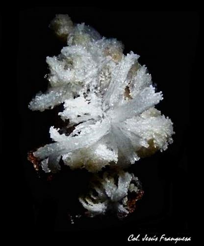 Yeso.<br />Touissit, Distrito Touissit, Provincia Jerada, Región Oriental, Marruecos<br />100x70 mm.<br /> (Autor: Jesus Franquesa Baucells)