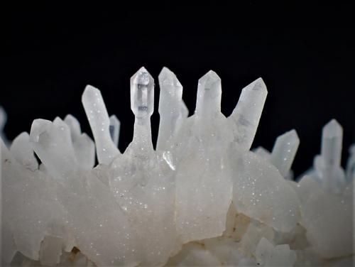 Quartz Scepters, Quartz (variety chalcedony)<br />Dugway Range, Tooele County, Utah, USA<br />86 mm x 56 mm x 57 mm<br /> (Author: Don Lum)