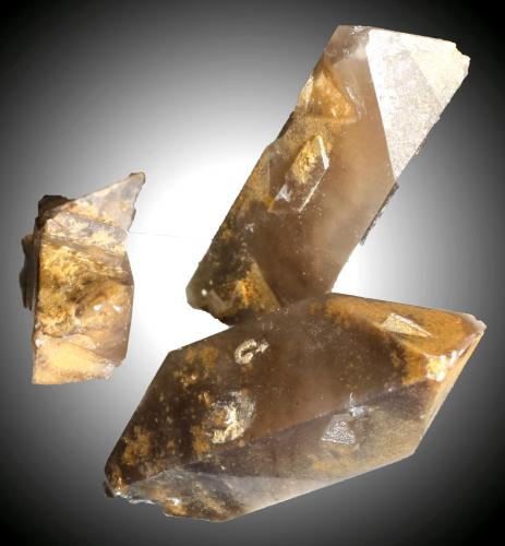Celestina<br />Concesión Minerama II, Urbanización Puente Tablas, Jaén ciudad, Jaén, Comarca Metropolitana de Jaén, Andalucía, España<br />22 x 8 x 10 mm<br /> (Autor: José Luis Zamora)