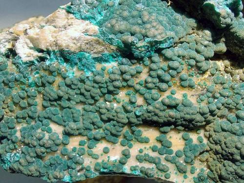 Pseudomalaquita<br />Mina Nkana (Mina Rokana), Kitwe, Distrito Kitwe, Provincia del Cinturón de Cobre, Zambia<br />CV 50 mm<br /> (Autor: Joan Niella)