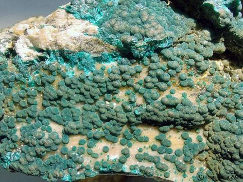 Pseudomalaquita<br />Nkana Mine (Rokana Mine), Kitwe, Kitwe Dstrict, Copperbelt Province, Zambia<br />CV 50 mm<br /> (Autor: Joan Niella)