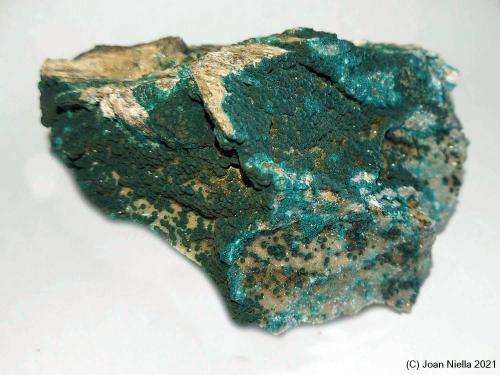 Pseudomalaquita<br />Nkana Mine (Rokana Mine), Kitwe, Kitwe Dstrict, Copperbelt Province, Zambia<br />100 x 75 mm<br /> (Autor: Joan Niella)