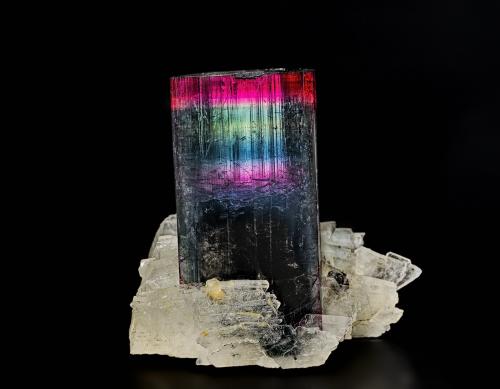 Elbaite, Albite<br />Coronel Murta, Jequitinhonha, Minas Gerais, Brazil<br />3.6 x 3.4 cm<br /> (Author: am mizunaka)