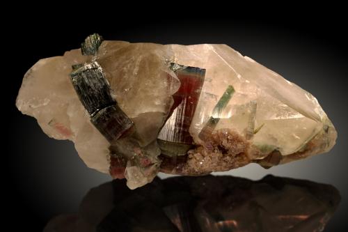 Turmalina, Cuarzo, Lepidolita<br />Mina Aricanga, São José da Safira, Governador Valadares, Vale do Rio Doce, Minas Gerais, Brasil<br />15x7cm, cristales hasta 4.5cm<br /> (Autor: Raul Vancouver)