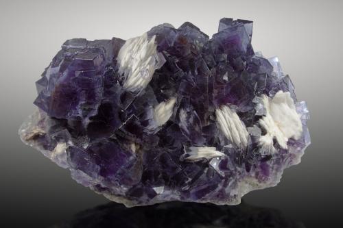 Fluorita, Barita<br />La Cabaña, zona minera de Berbes, Valdelmar, Berbes, Ribadesella, Comarca Oriente, Principado de Asturias (Asturias), España<br />35cm, cristales hasta 5cm de arista mayor<br /> (Autor: Raul Vancouver)