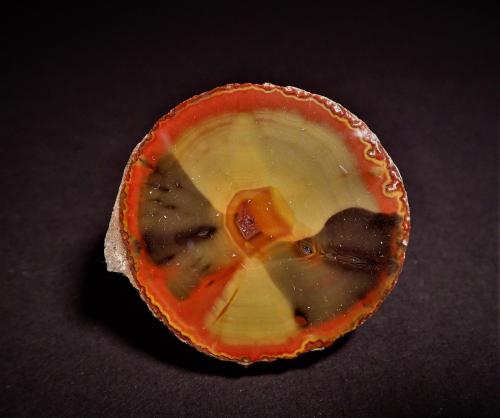 Quartz (variety chalcedony, variety agate)<br />Xuanhua District, Prefecture Zhangjiakou, Hebei Province, China<br />49 mm x 46 mm<br /> (Author: Don Lum)