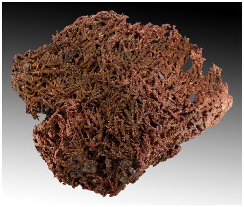 Copper<br />Rocklands Mine, Cloncurry, Cloncurry Shire, Queensland, Australia<br />16 cm x 16 cm x 5 cm<br /> (Author: silvia)