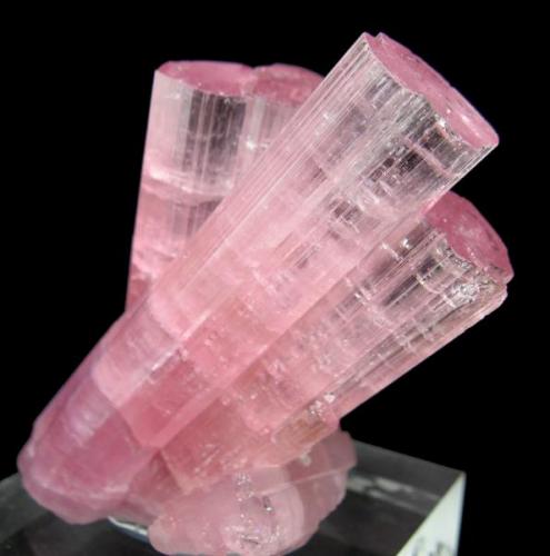 Elbaite
Paprok, Nuristan Province, Afghanistan
69 mm x 51 mm (Author: Carles Millan)