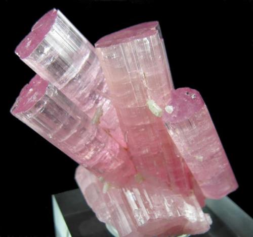 Elbaite
Paprok, Nuristan Province, Afghanistan
69 mm x 51 mm (Author: Carles Millan)