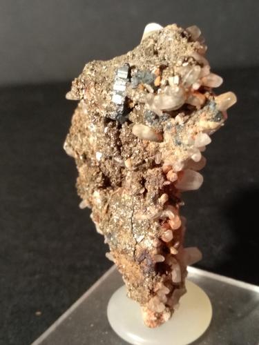 Bournonita, Calcita, Pirita<br />Brosso Mine, Cálea, Léssolo, Canavese District, Metropolitan City of Turin Province, Piedmont (Piemonte), Italy<br />63 x 50 mm<br /> (Autor: Sante Celiberti)