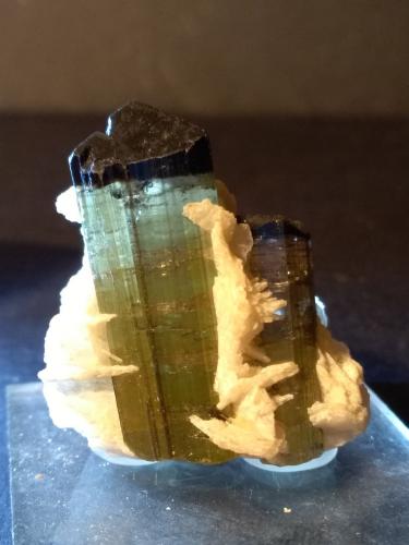 Tourmaline (Group), Albite<br />Stak Nala, Haramosh Mountains, Skardu District, Gilgit-Baltistan (Northern Areas), Pakistan<br />37 x 30 mm<br /> (Author: Sante Celiberti)