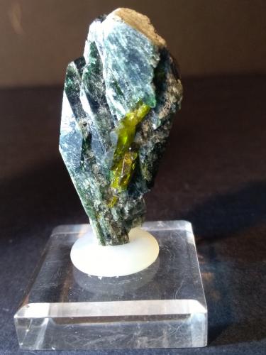 Titanite, Diopside<br />Tormiq Valley, Baltistan District, Gilgit-Baltistan (Northern Areas), Pakistan<br />42 x 23 mm<br /> (Author: Sante Celiberti)