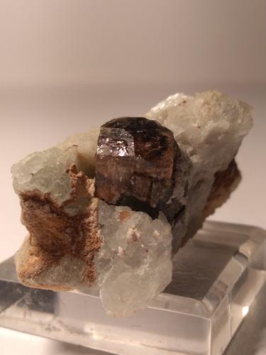 Tourmaline (Group)<br />Camp Robin area, Manandriana District, Amoron'i Mania Region, Fianarantsoa Province, Madagascar<br />40 x 27 mm<br /> (Author: Sante Celiberti)